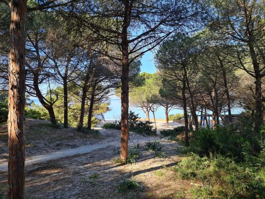 Ferienwohnung Pepita Del Mare Alghero Exterior foto